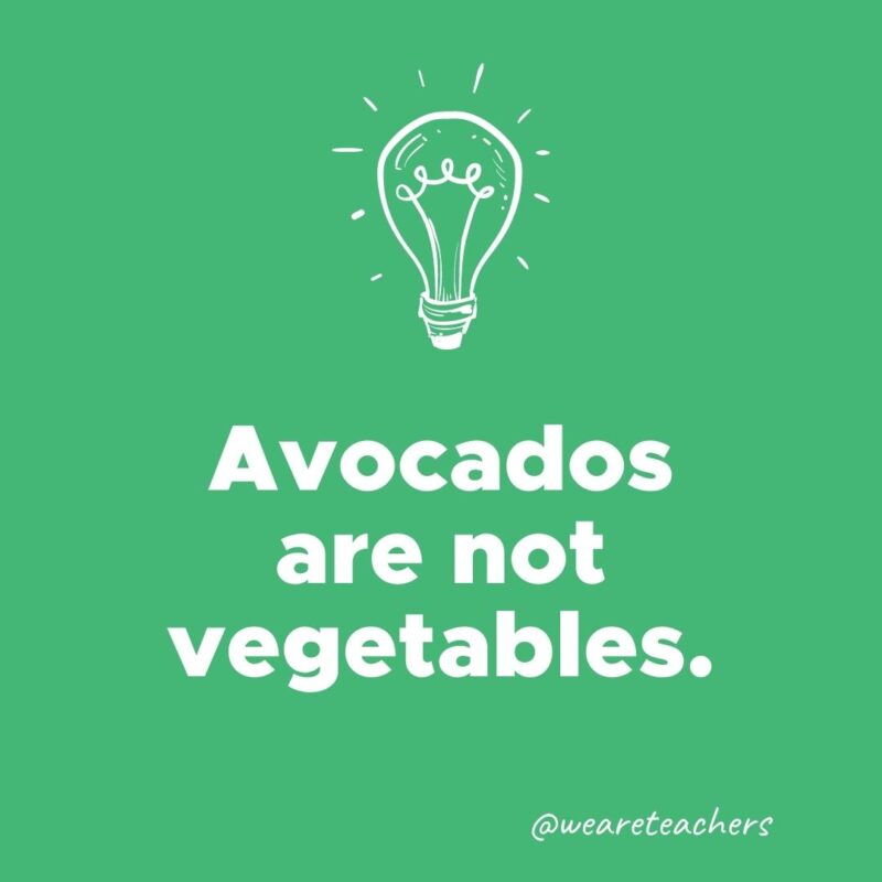 Avocados are not vegetables.- weird fun facts