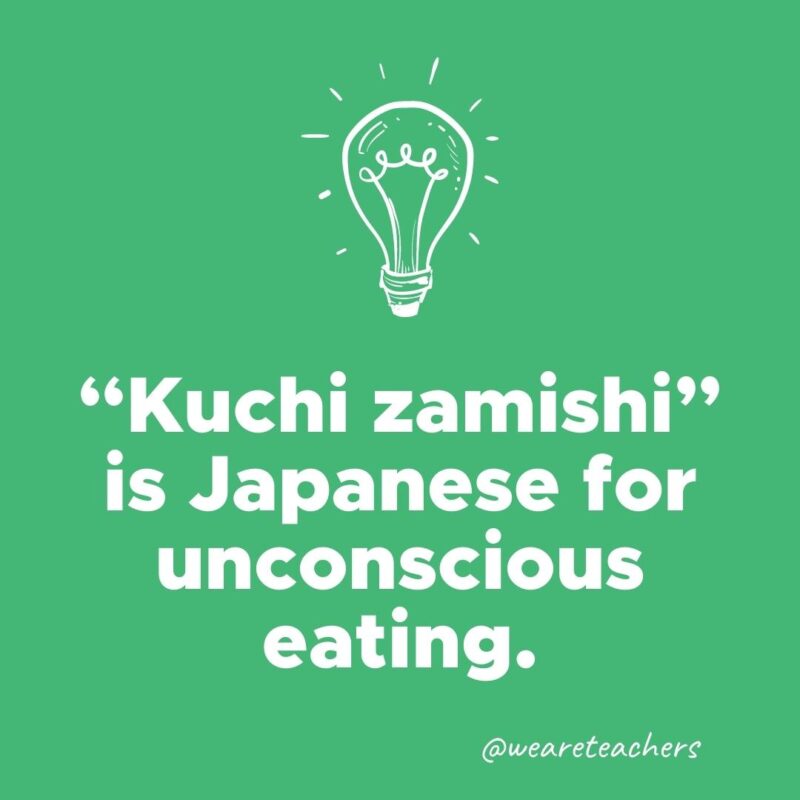 Kuchi zamishi is Japanese for unconscious eating. 
