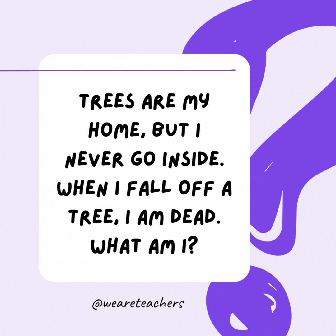 Trees are my home, but I never go inside. When I fall off a tree, I am dead. What am I? A leaf.