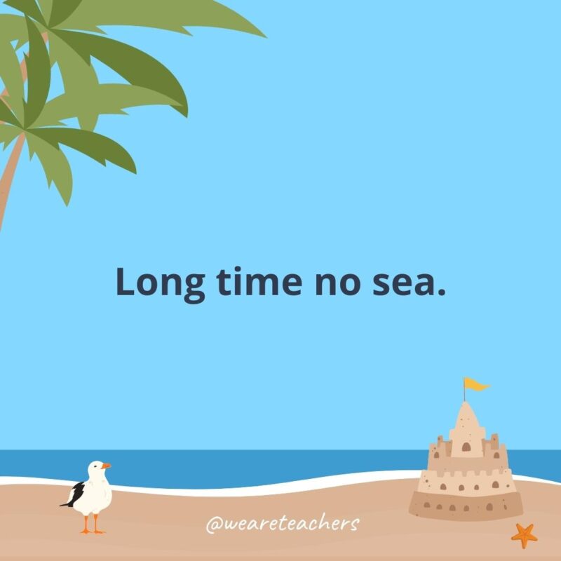 Long time no sea.