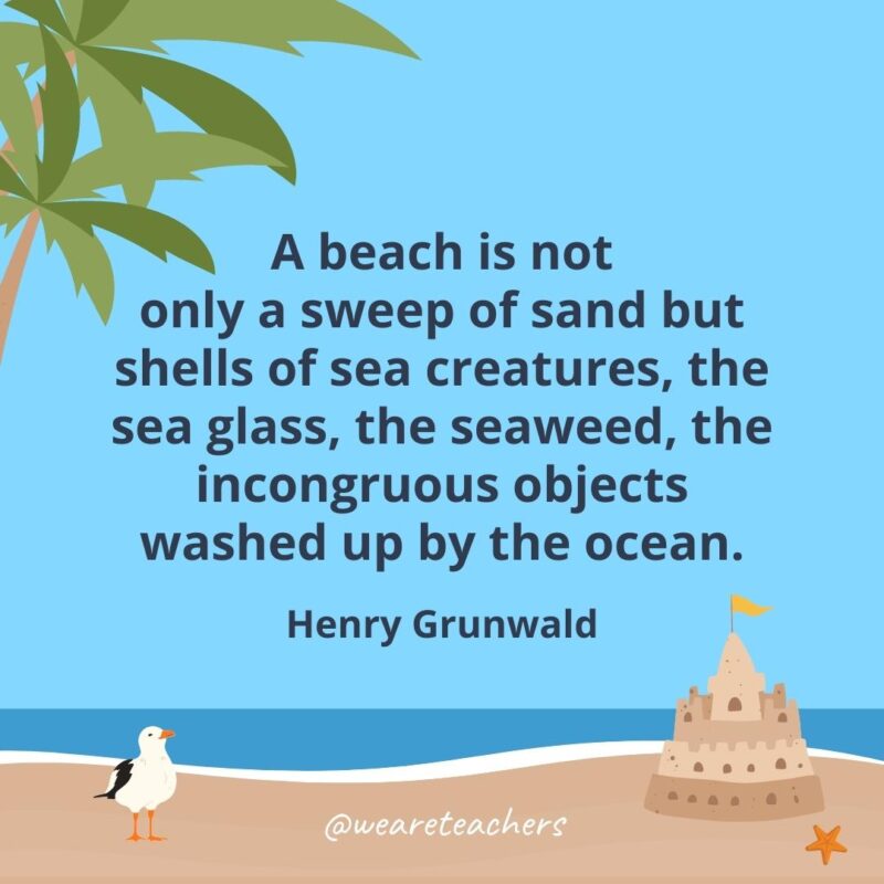 A beach is not only a sweep of sand but shells of sea creatures, the sea glass, the seaweed, the incongruous objects washed up by the ocean.