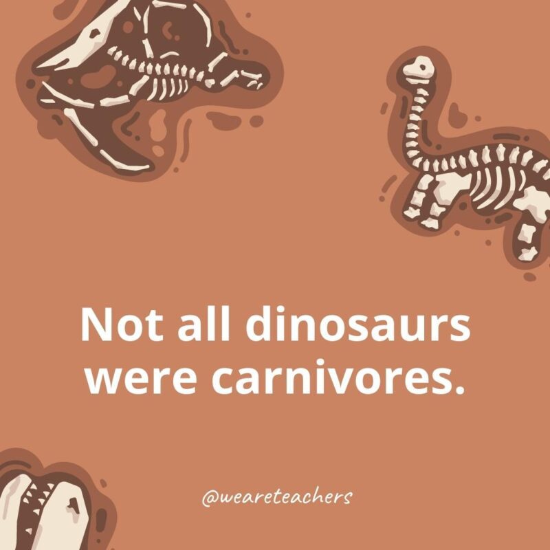 Not all dinosaurs were carnivores. - dinosaur facts for kids