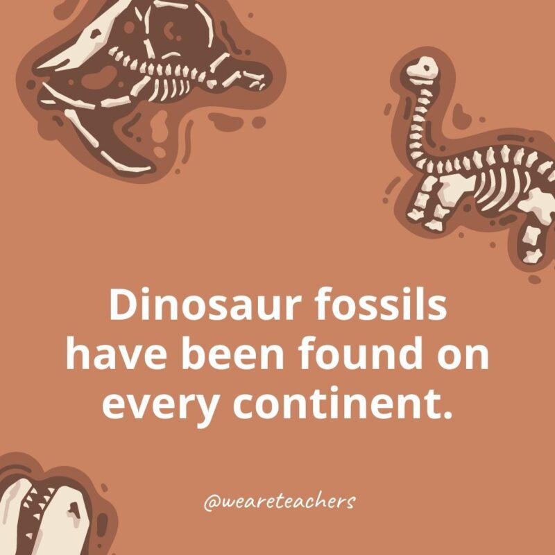 Dinosaur fossils have been found on every continent. 