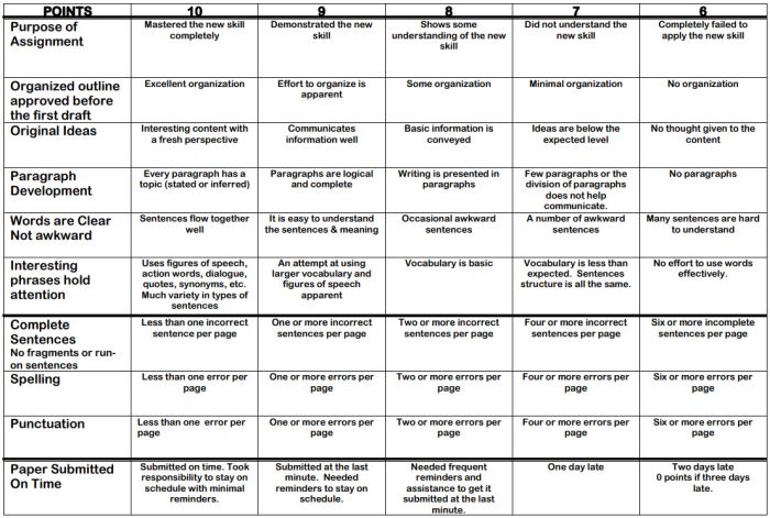 15 Helpful Scoring Rubric Examples for All Grades and Subjects ...