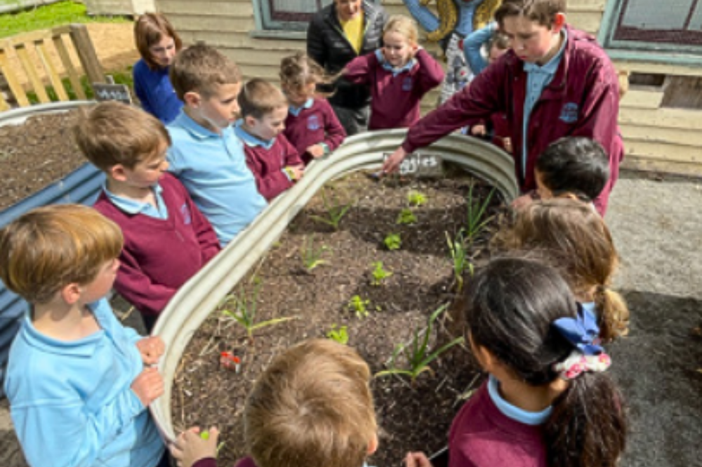 The Victorian schools leading the way on sustainability education