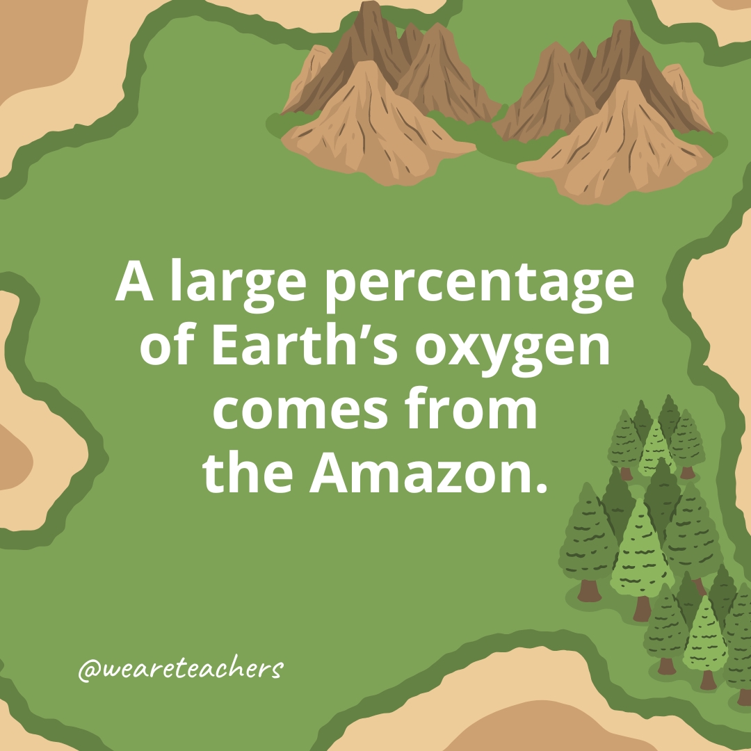A large percentage of Earth's oxygen comes from the Amazon.