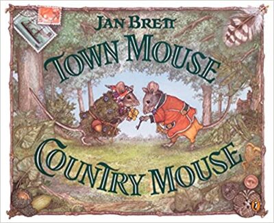 Book cover of Town Mouse, Country Mouse by Jan Brett
