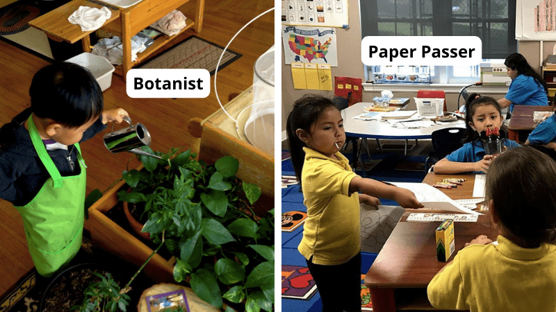 Examples of classroom jobs, including botanist and paper passer
