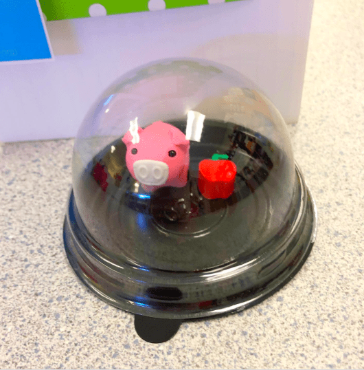 A piggy desk pet and an apple eraser inside of a clear container