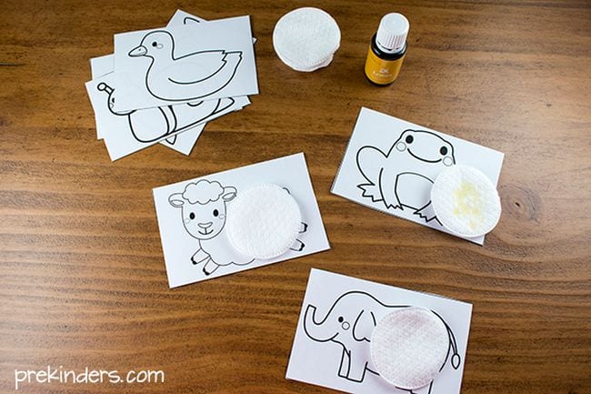 Cards with outlines of animals and cotton pads