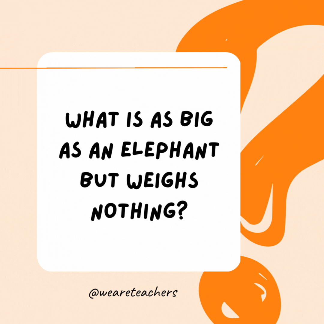 What is as big as an elephant but weighs nothing? An elephant's shadow.- Riddles for Kids