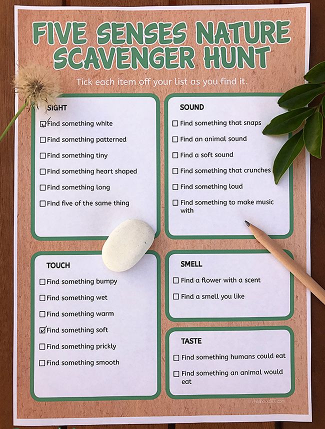 Printable outdoor scavenger hunt with activities for the five senses