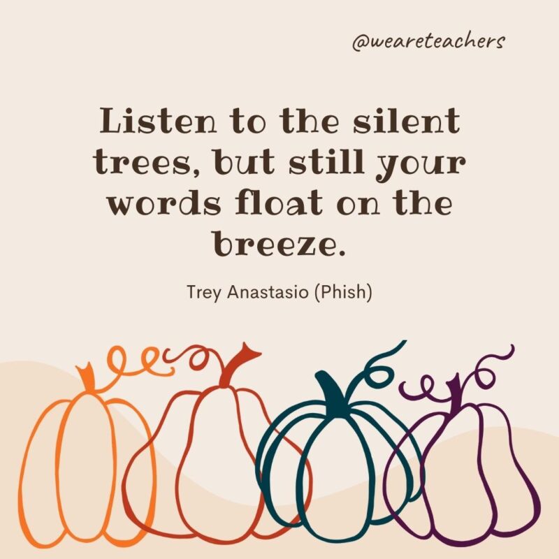 Listen to the silent trees, but still your words float on the breeze. —Trey Anastasio (Phish)