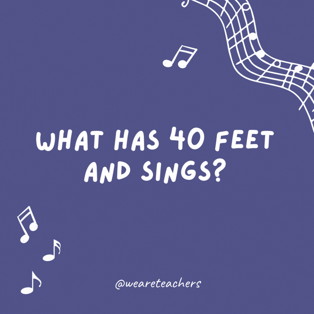 Music jokes: What has 40 feet and sings? The school choir.