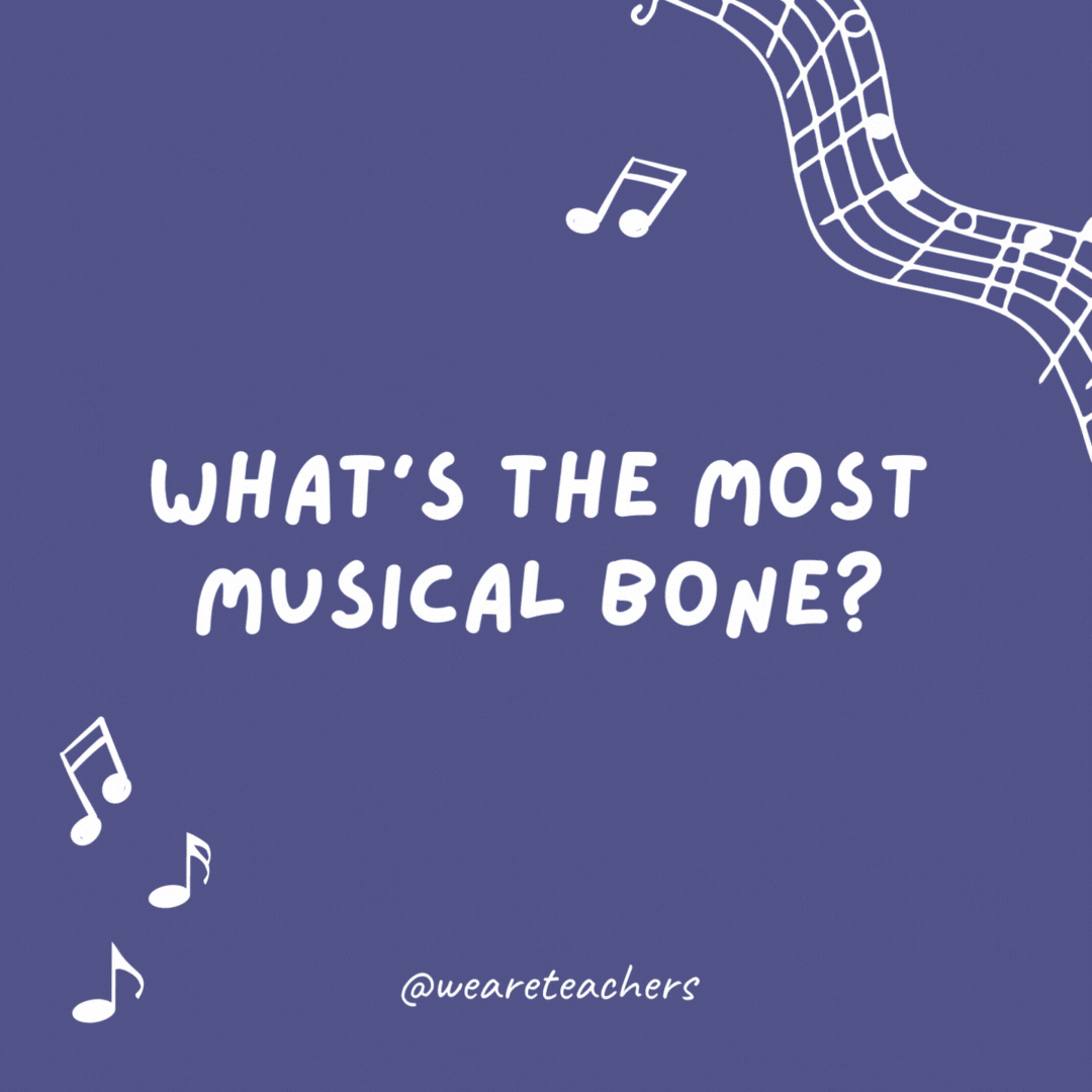 What’s the most musical bone? The trombone.