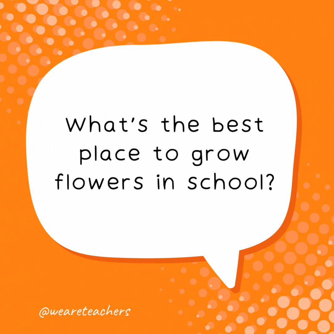 What's the best place to grow flowers in school? In kindergarden.- school jokes for kids