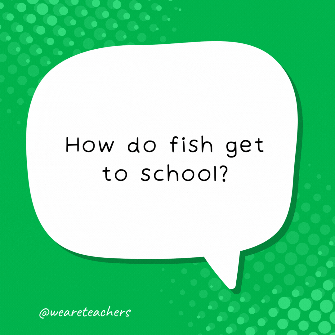 How do fish get to school? The octobus! - school jokes for kids