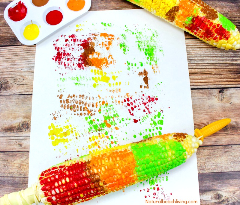 a corn on the cob used to paint on paper
