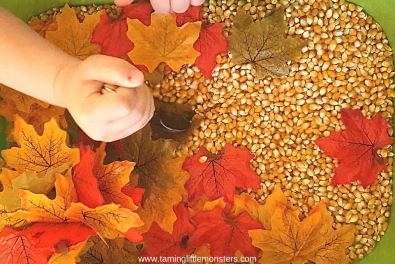 sensory bin filled with corn and leaves for a fall activity