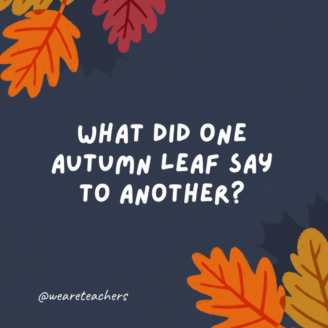 What did one autumn leaf say to another?

I'm falling for you!