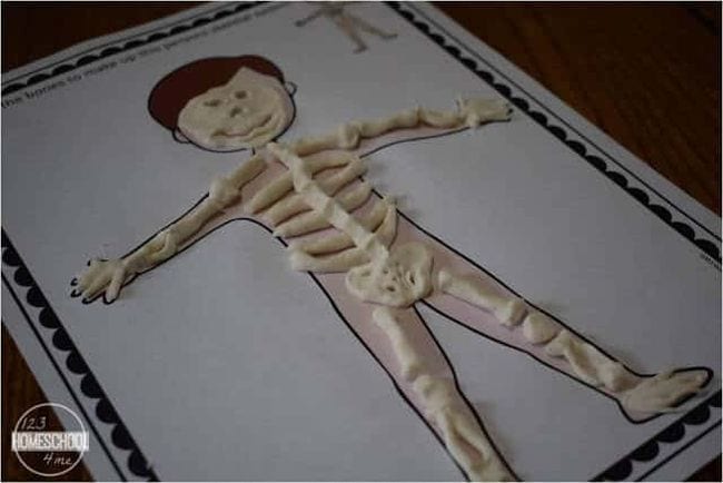 Bones made out of playdough sitting on a mat showing the human body