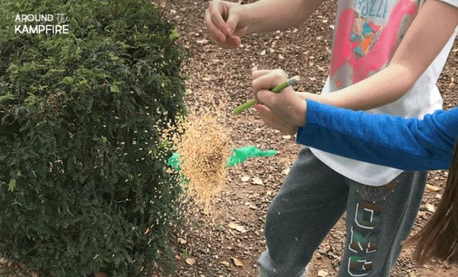Children exploding a balloon with seeds flying out