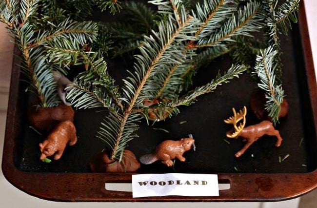 Pine branches and woodland animal figurines on a tray labeled woodland