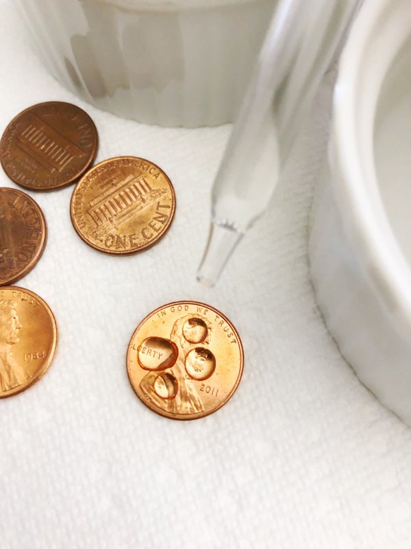 Photo of 5 pennies and a water dropper to demonstrate the second grade science experiment relating to water tension. One penny has 4 water drops on it.