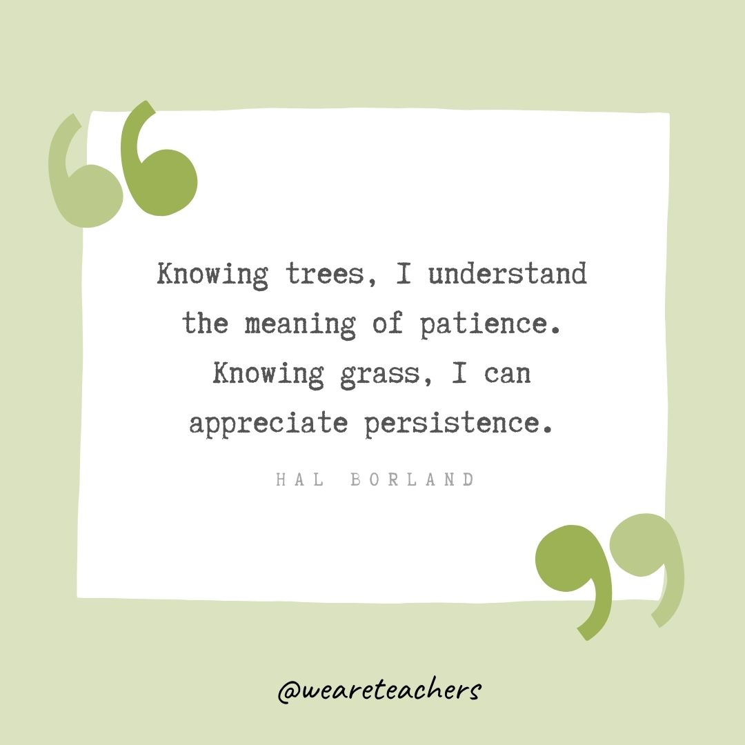 Knowing trees, I understand the meaning of patience. Knowing grass, I can appreciate persistence. -Hal Borland- Growth Mindset Quotes