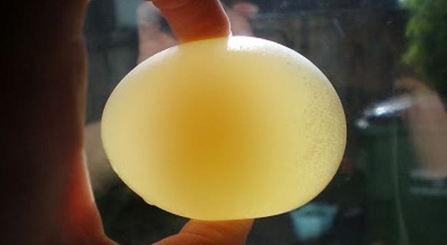 Science student holding a raw egg without a shell