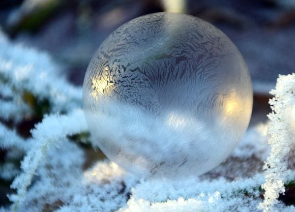 Frozen soap bubble on snowy branches