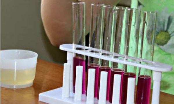 Student using a series of test tubes filled with pink liquid