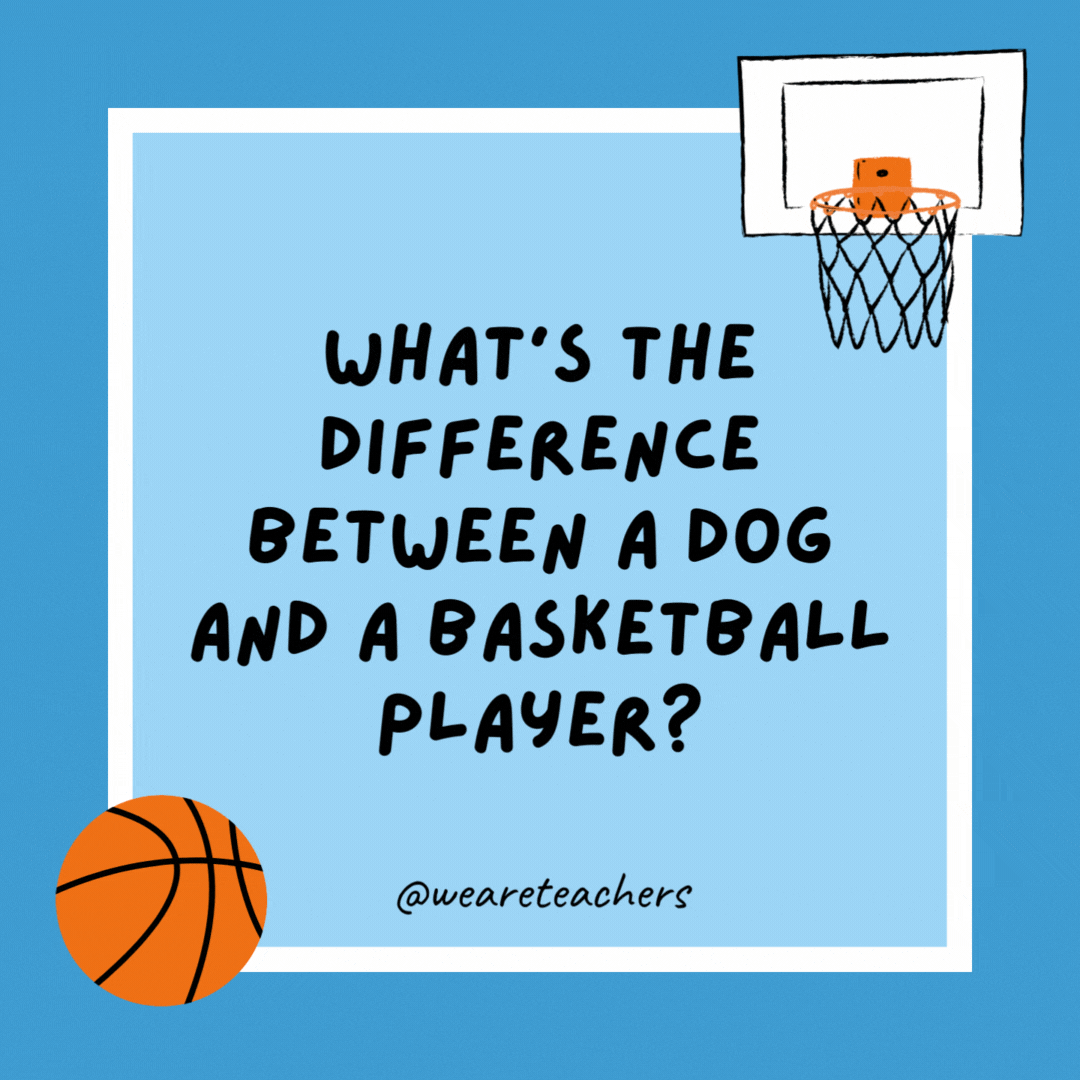 What’s the difference between a dog and a basketball player?

One drools and the other dribbles.
