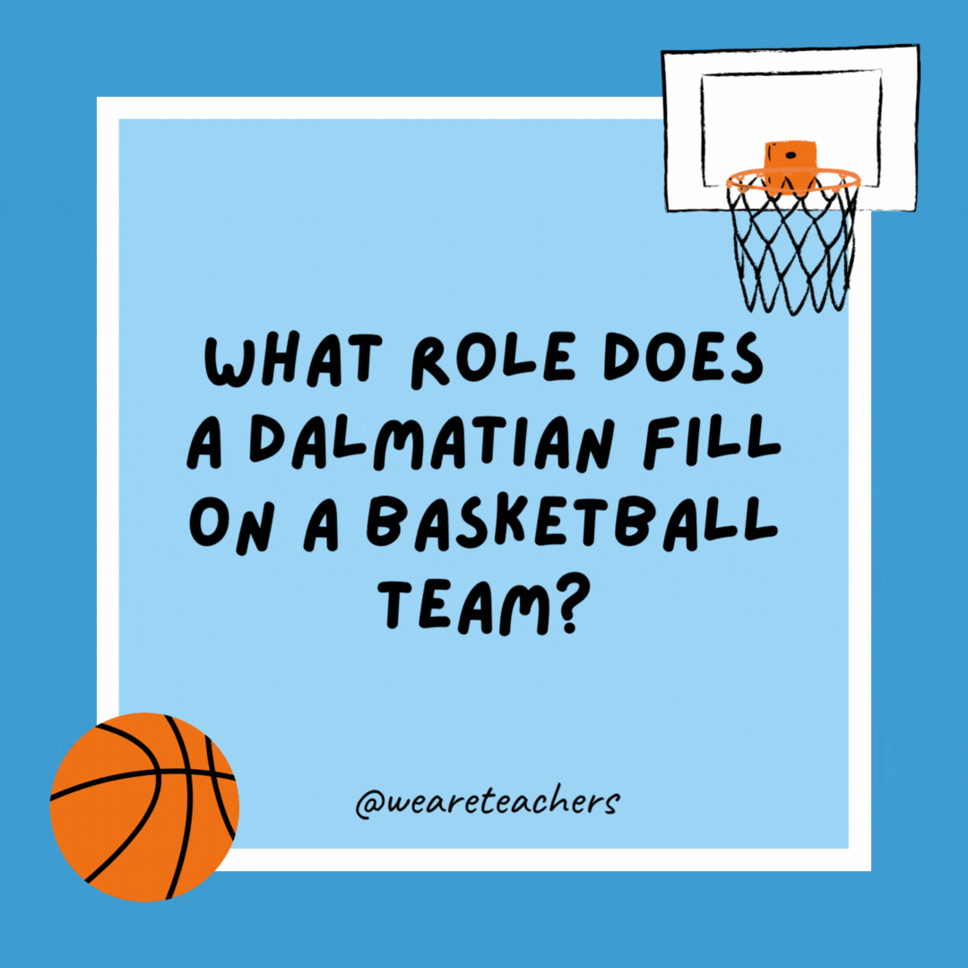 What role does a Dalmatian fill on a basketball team?