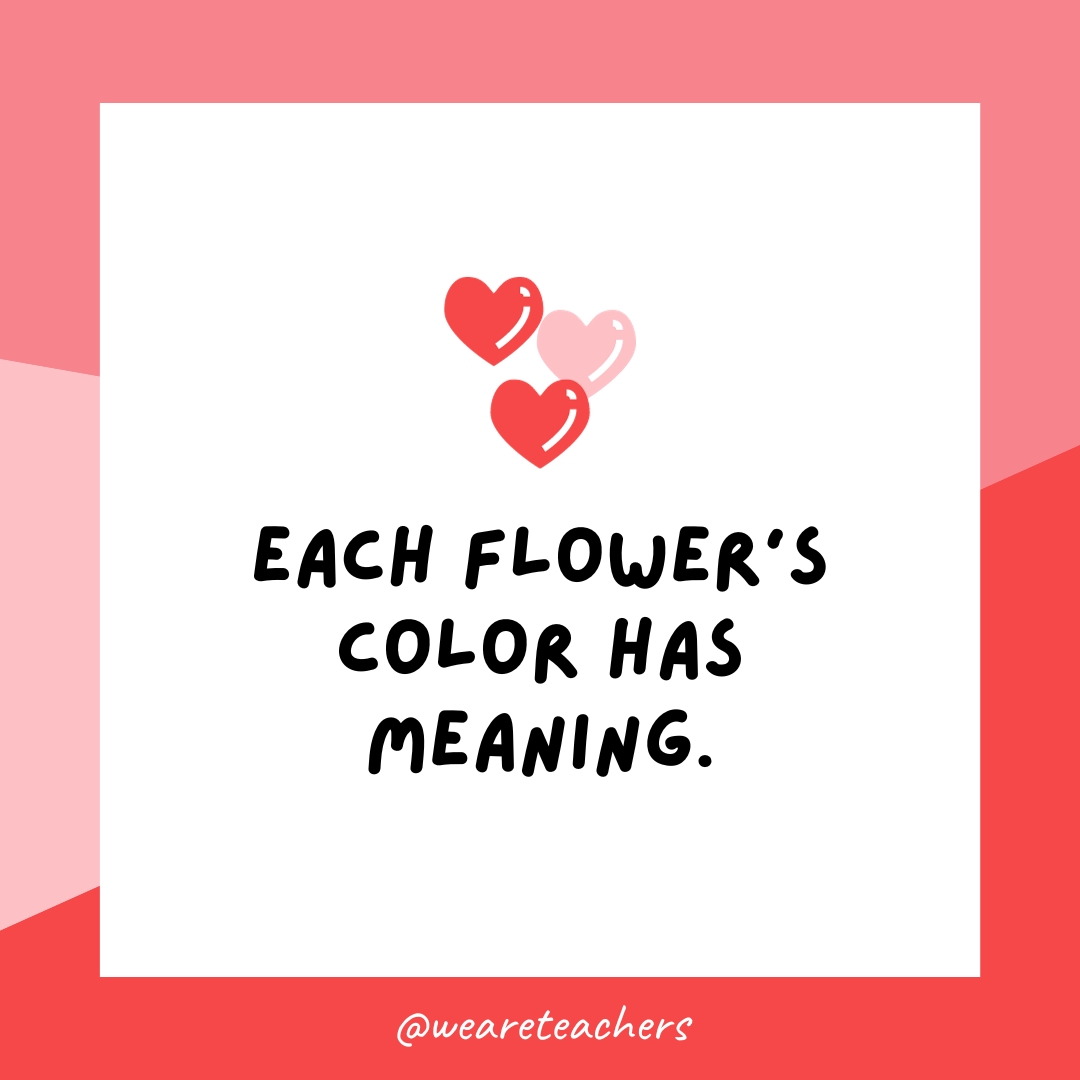 Each flower's color has meaning. 