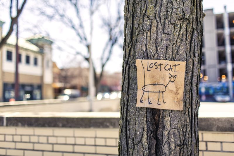 A child's hand-drawn sign for a lost cat attached to a tree