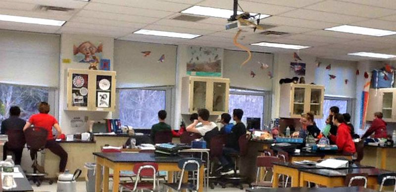 Students in a classroom looking out the windows to record their bird sightings at nearby feeders