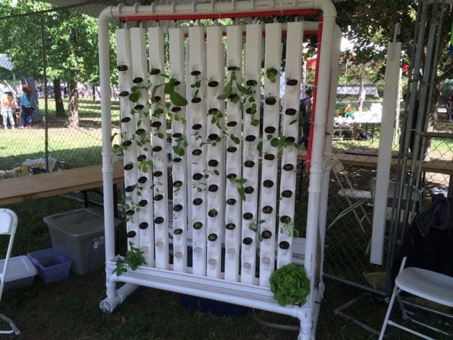 Vertical hydroponic garden made from PVC pipes and aluminum downspouts