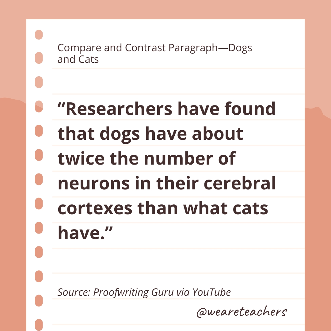 Compare and Contrast Paragraph—Dogs and Cats- compare and contrast essay example