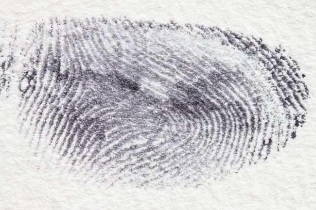 Large fingerprint in black ink on white paper