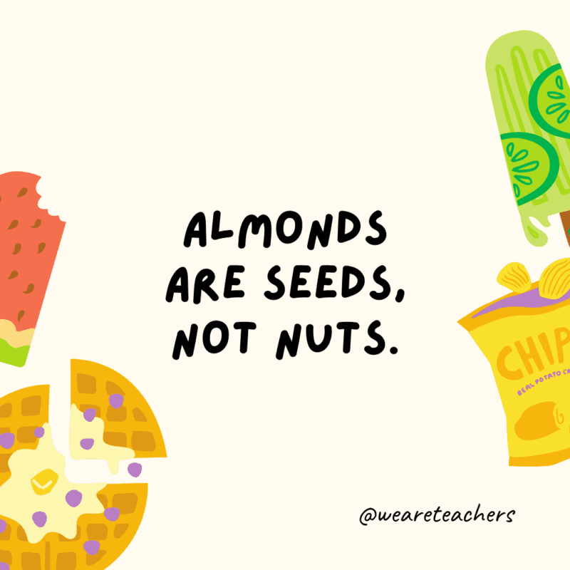Fun food facts - Almonds are seeds, not nuts.