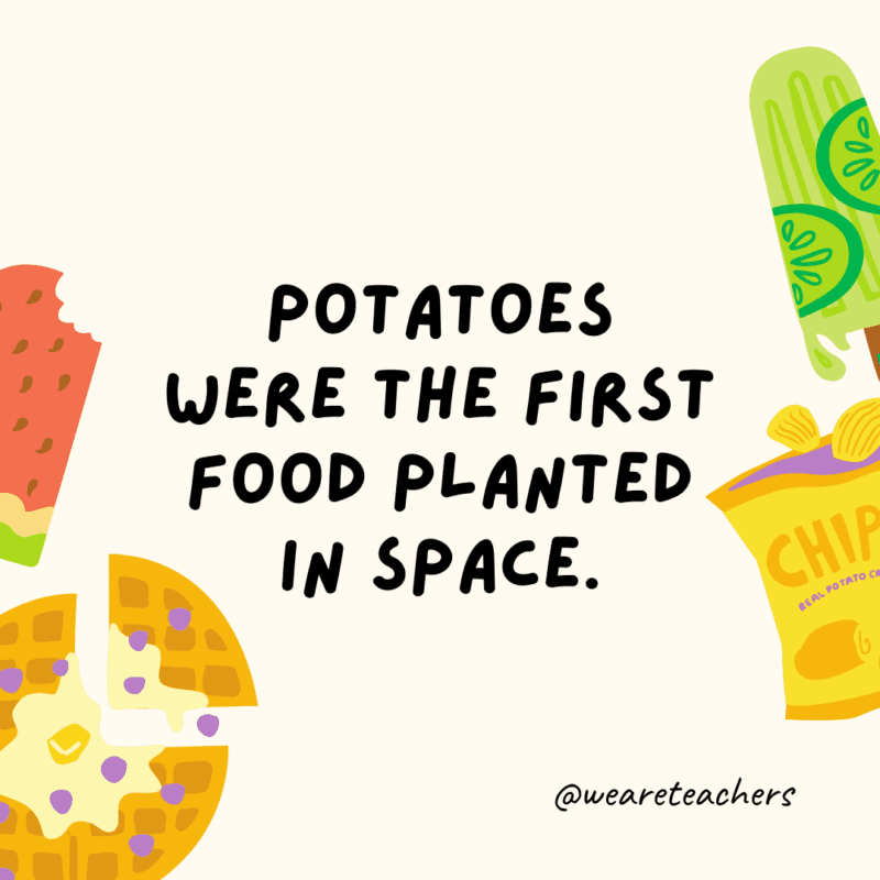 Fun food facts - Potatoes were the first food planted in space.