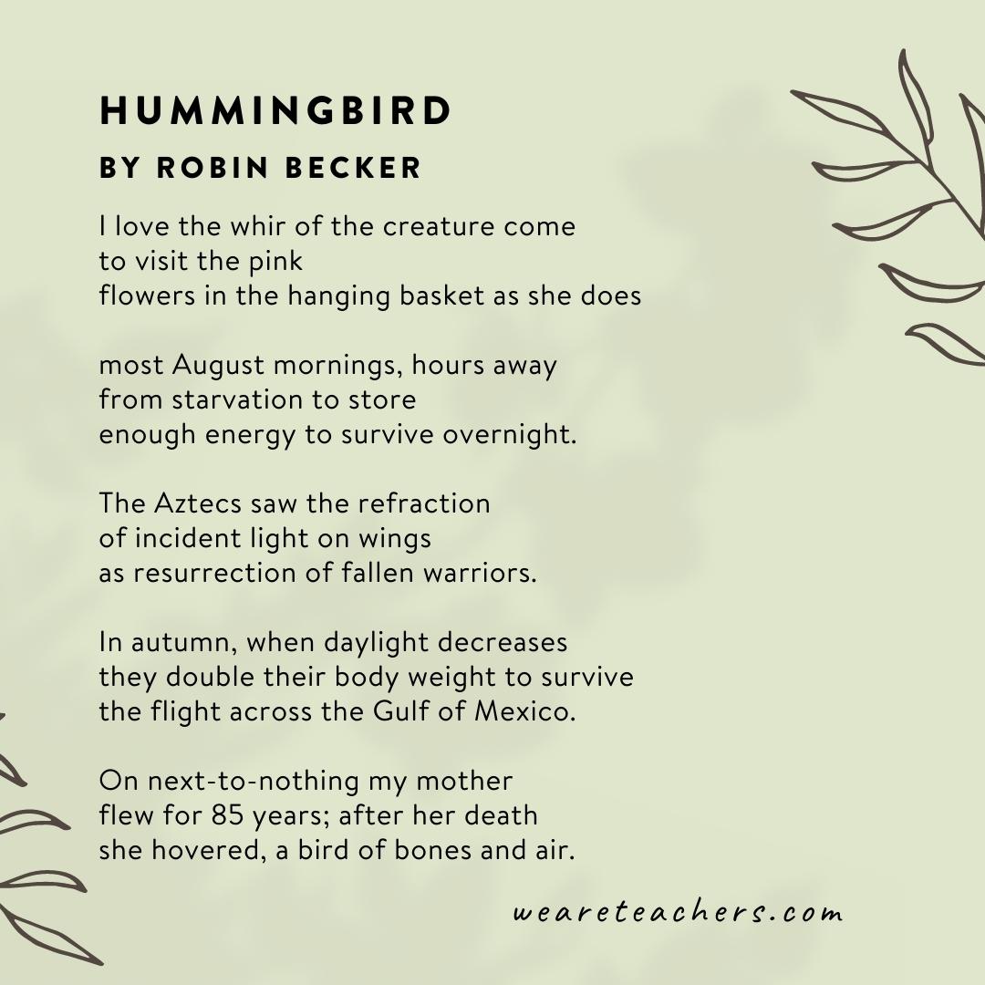 Hummingbird by Robin Becker. -  poems about nature