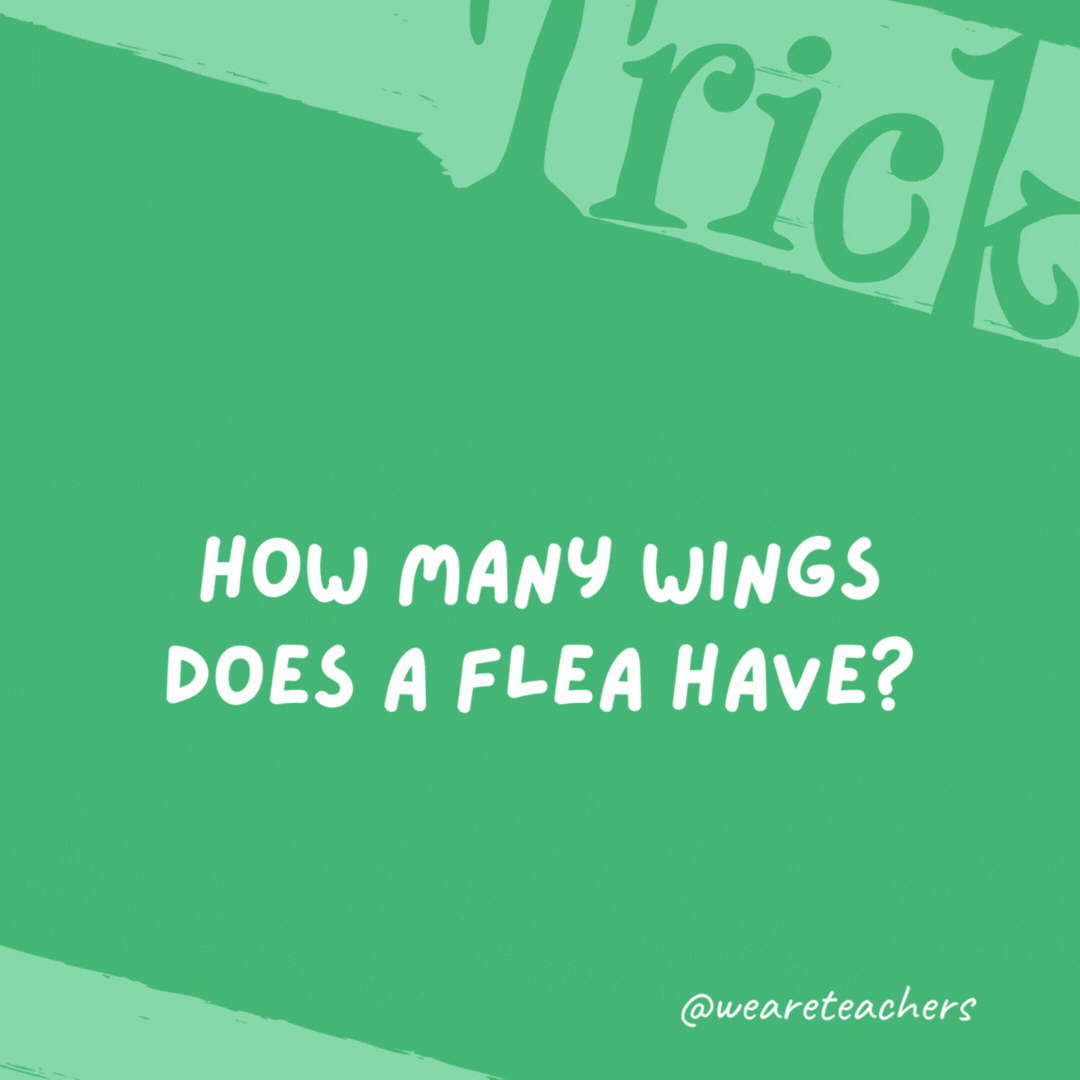 How many wings does a flea have?

None. Fleas don't have wings.