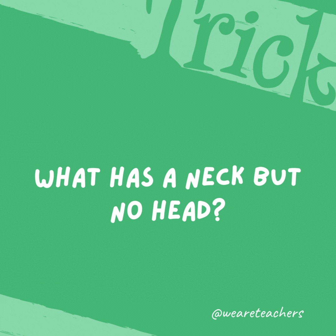 What has a neck but no head?

A bottle.