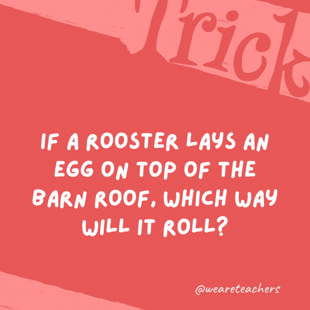 If a rooster lays an egg on top of the barn roof, which way will it roll?

Roosters don’t lay eggs.