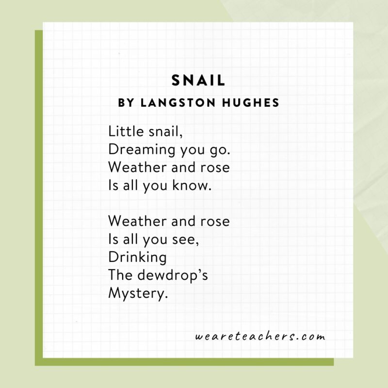 Snail by Langston Hughes an example of poems for elementary school.