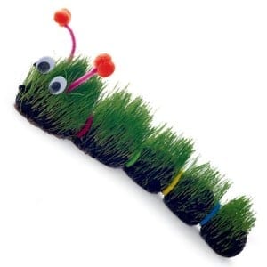 A caterpillar is made from grass. 