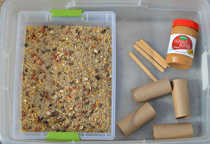 a bin filled with birdseed on a table next to a jar of peanut butter, craft sticks and cardboard paper towel rolls-recycling activities