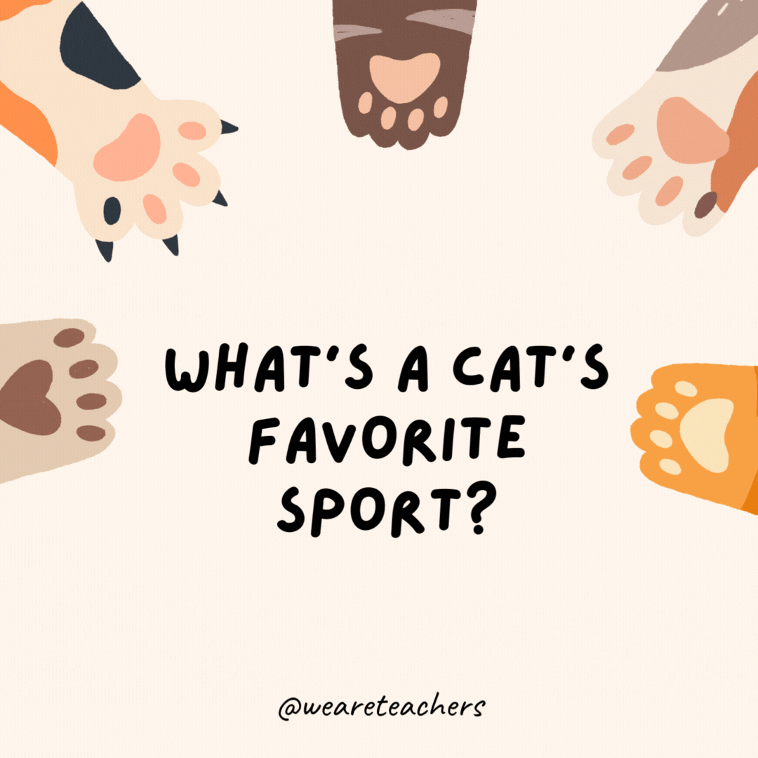 What's a cat's favorite sport?- educational brain breaks- joke lists